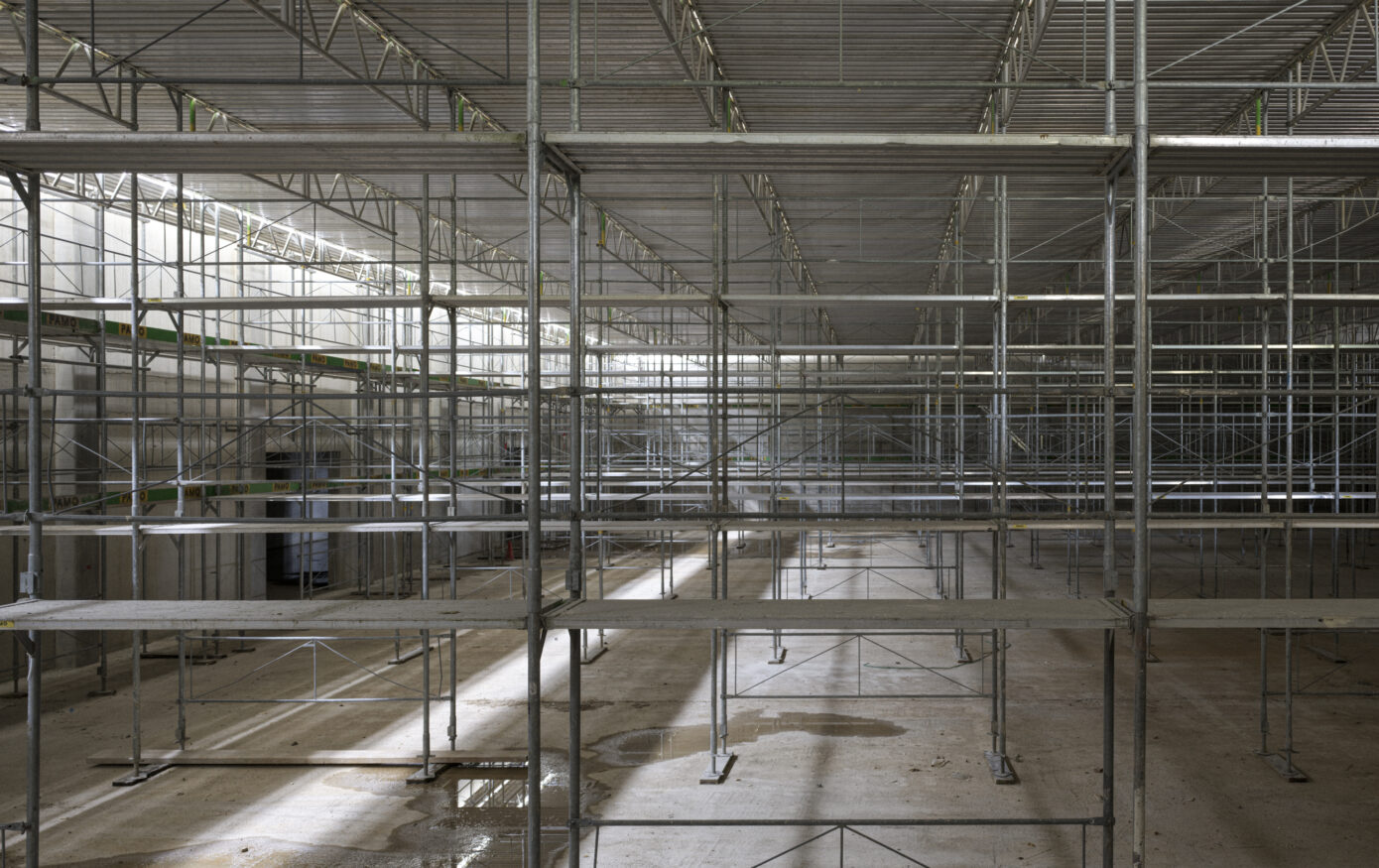 Bauleiter:In / Nachwuchsbauleiter:In